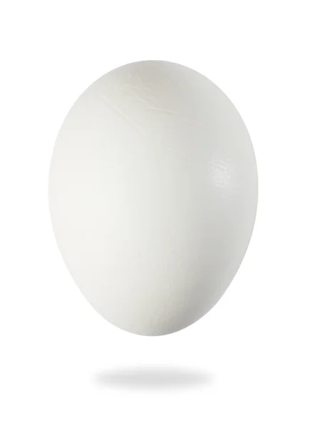 Fehér tojás Stock Kép