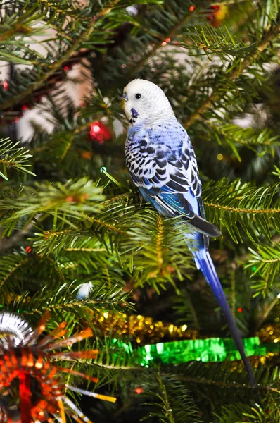 stock image Blue parakeets