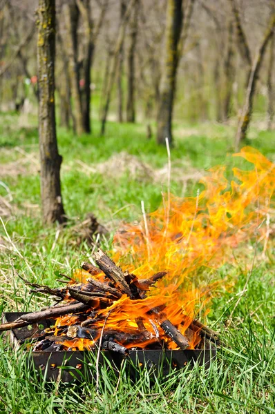 stock image Picnic fire on the grill