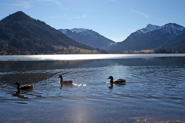 Bayerische Alpen — Stockfoto