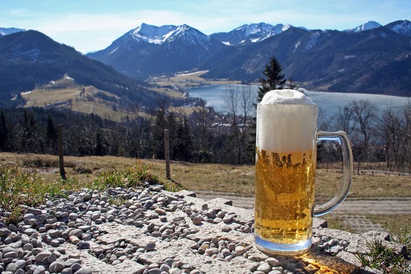 stock image Beer glas