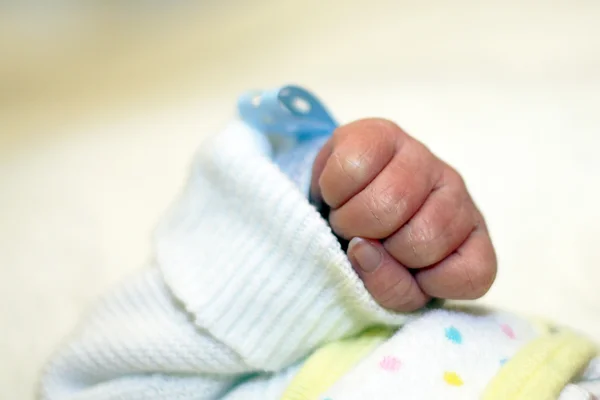 Novorozené ruku — Stock fotografie