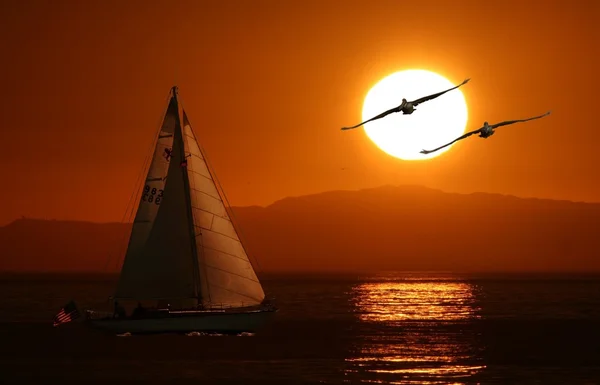 Solen på Stilla havet — Stockfoto