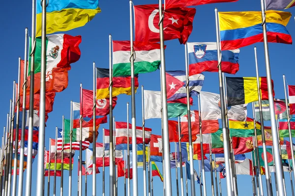 stock image Flag of the world