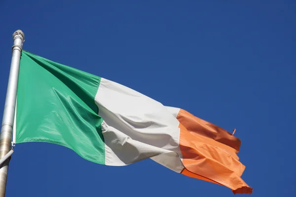 stock image Flag of Ireland