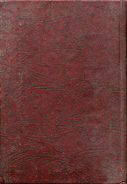 Kırmızı faux deri 2 — Stok fotoğraf
