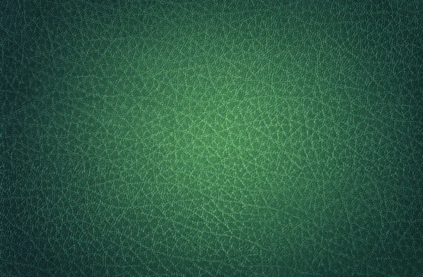 Glänzendes grünes Leder, glänzend — Stockfoto