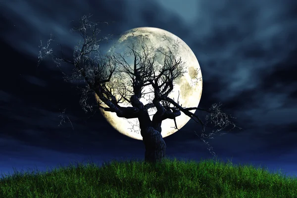 Albero solitario sotto la luna piena rendering 3D — Foto Stock
