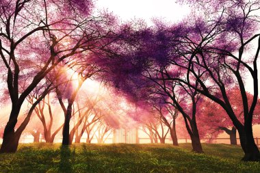 Cherry Blossoms Japanese Garden 3D render clipart