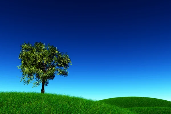 在草甸 3d 渲染棵孤独的树 — 图库照片