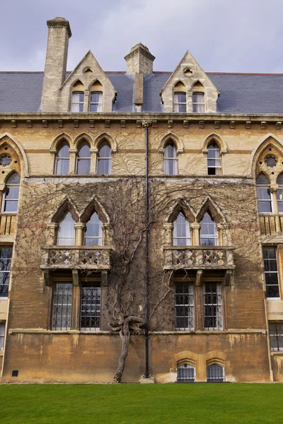 Колледж Христа в Оксфорде — стоковое фото