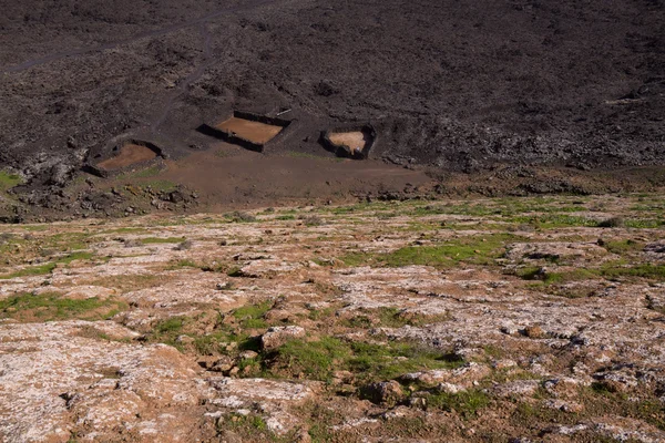 火山の下にあるファーム — ストック写真