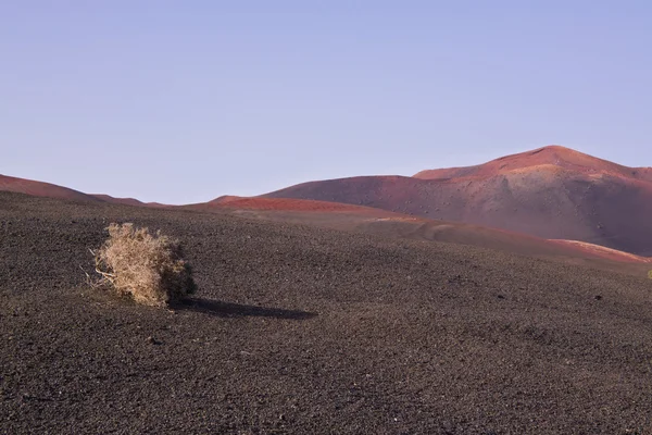 Popiół wulkaniczny — Zdjęcie stockowe