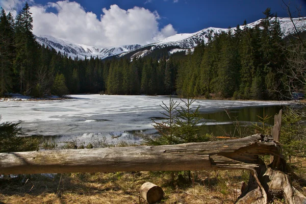 stock image Early spring in Slovakia mountains