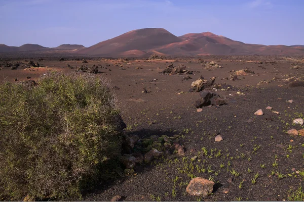 Parku wulkanicznego na Wyspach Kanaryjskich — Zdjęcie stockowe