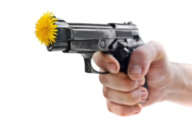 Gun's & flowers clipart