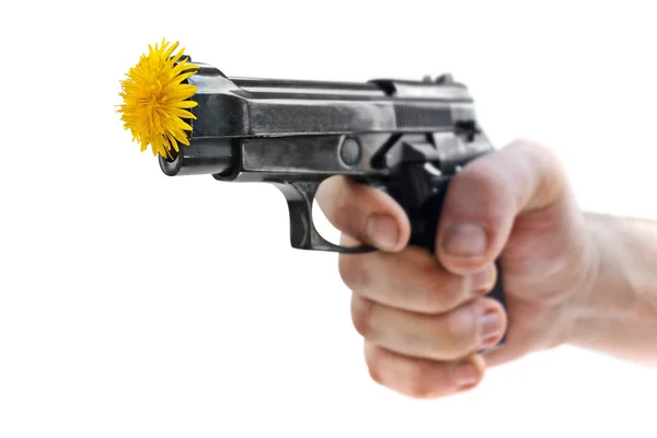 Silah ve çiçekler — Stok fotoğraf