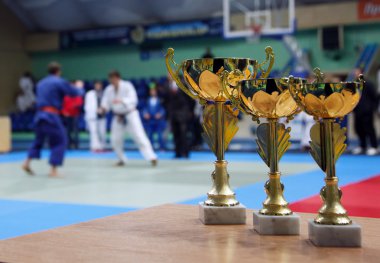 Youth Judo competition. clipart