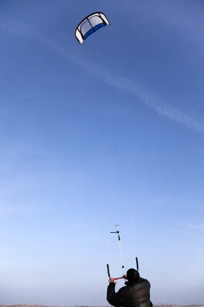Cerf-volant ballon — Photo