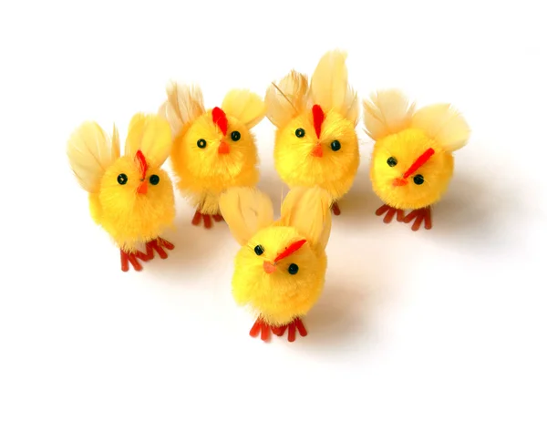 Kuřata — Stock fotografie
