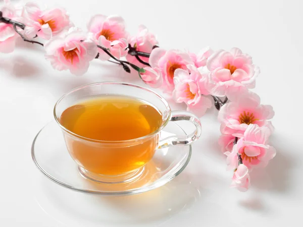 Kubek herbaty — Zdjęcie stockowe