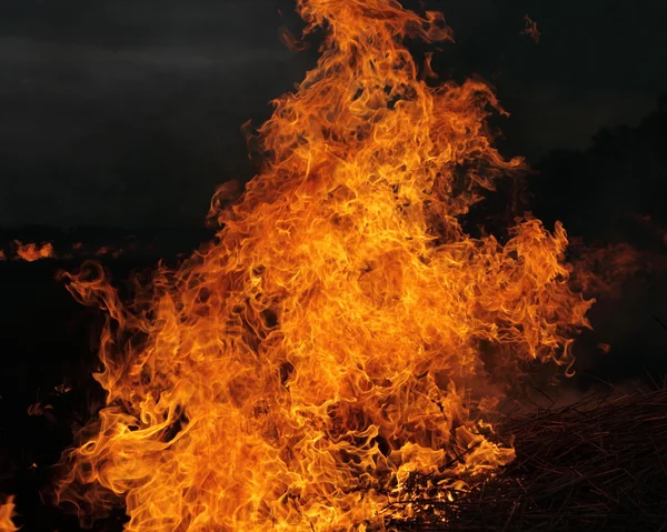 Het vuur op veld — Stockfoto
