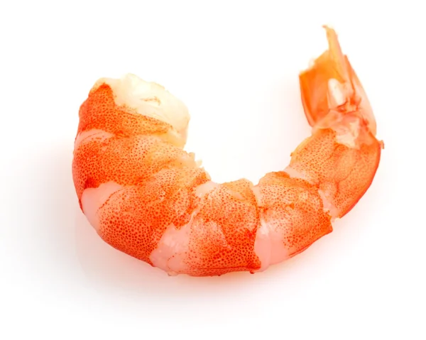 Shrimp — Stock Photo, Image