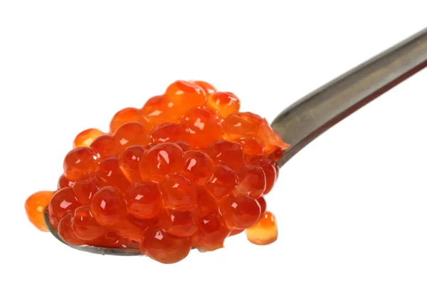 Caviar rouge — Photo