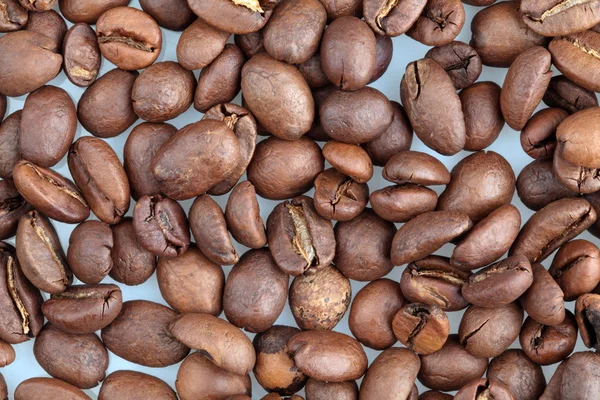 コーヒー豆. — ストック写真