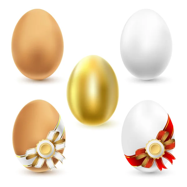Chicken eggs — Stock Vector
