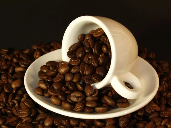 Chicchi di caffè in una tazza — Foto Stock