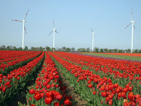 Wind als alternatieve energiebron — Stockfoto
