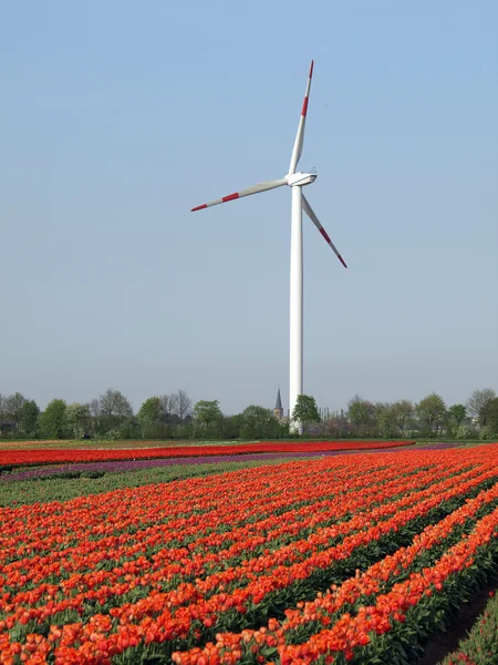 Ветер как альтернативный энергетический ресурс — стоковое фото
