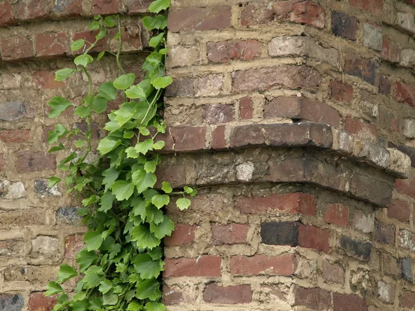 stock image Ancient brick wall