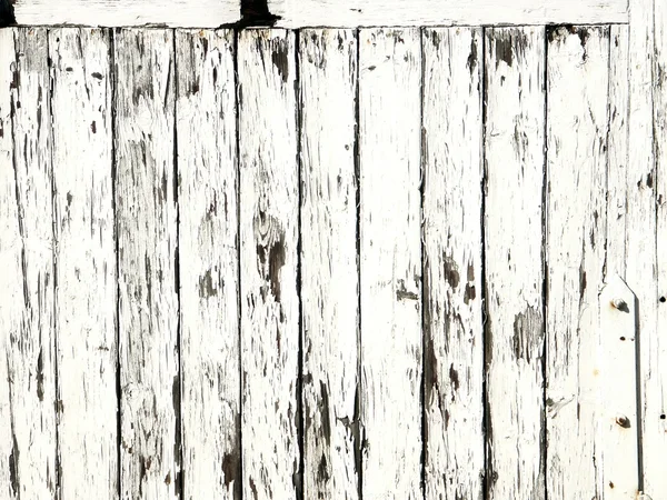 Ogrodzenie pikietowe — Zdjęcie stockowe