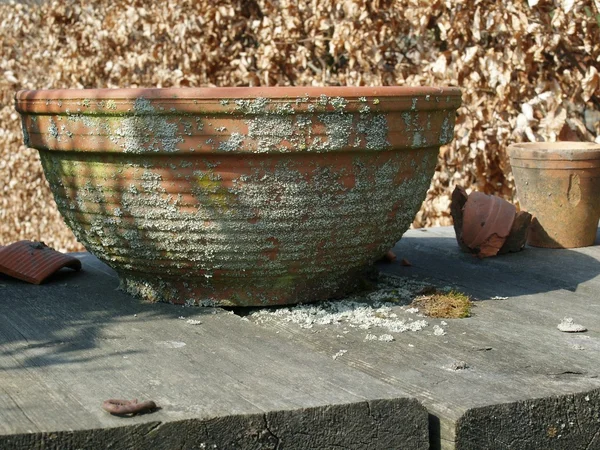 Vieux pot de fleurs en terre cuite — Photo