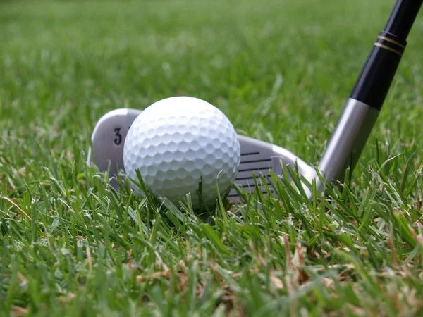 stock image A golf ball and a golf club