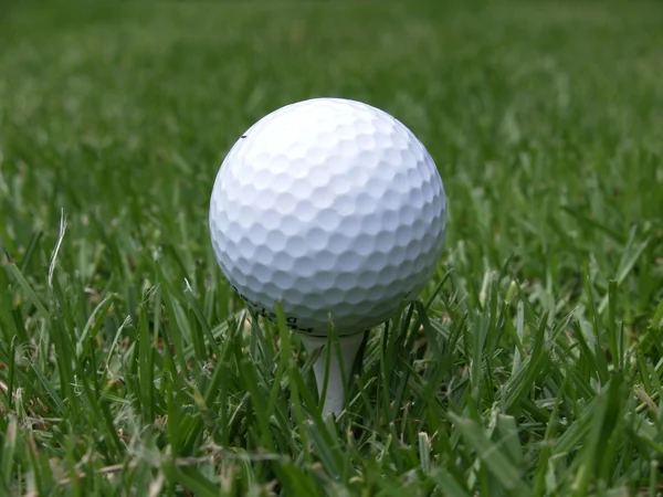 Ein weißer Golfball auf einem Abschlag Stockbild