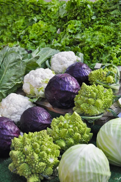 Hösten grönsaker på en farmers market stå Royaltyfria Stockbilder