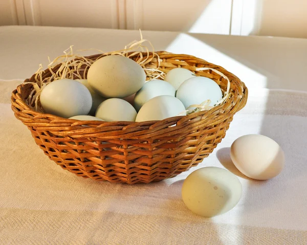 stock image Pastel colored chicken eggs in an Easter basket.