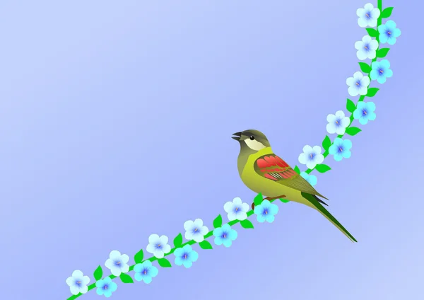 Kleiner Vogel und Blumen — Stockvektor