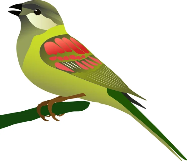 Petit oiseau — Image vectorielle