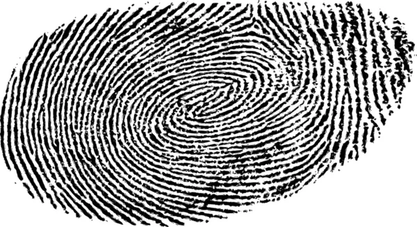 Fingerprint — Stock Vector