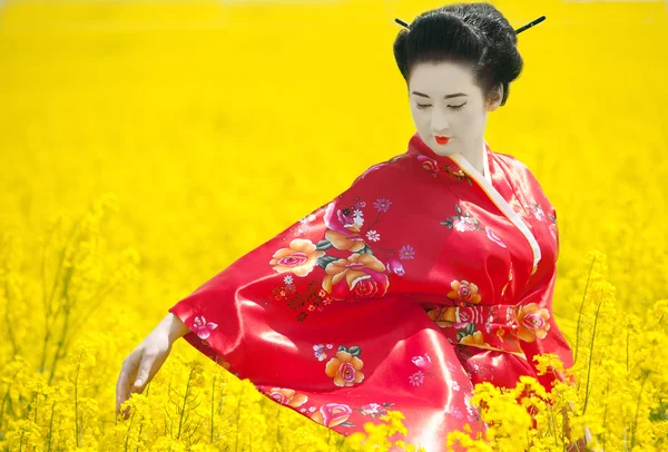 Geisha in the yellow field — Stock Photo, Image
