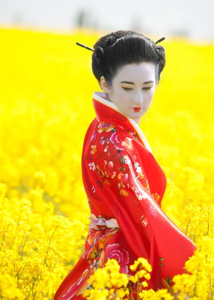 Geisha en el campo amarillo —  Fotos de Stock