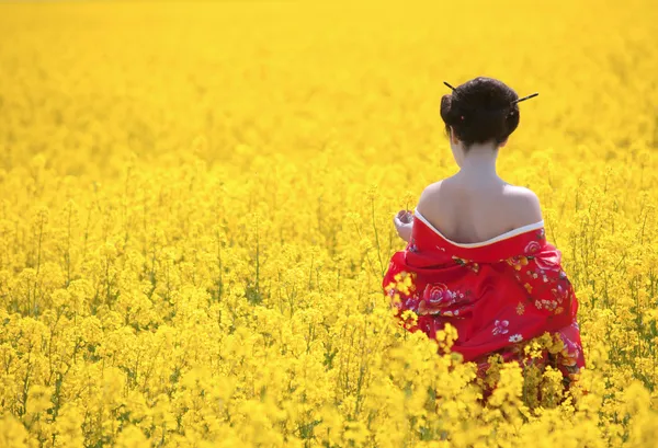 Geisha en el campo amarillo — Foto de Stock