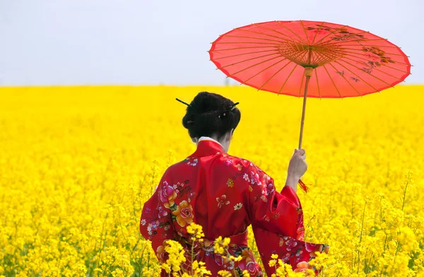 A sárga mezőben gésa — Stock Fotó