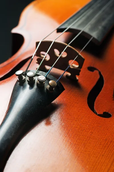 Violin (closeup) — Stock Photo, Image