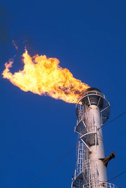 A chama de gás no campo de gás — Fotografia de Stock