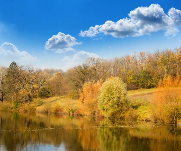 Autumn landscape on the bank of lake — Stock Photo, Image